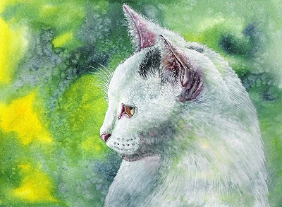 CatSaltPainting