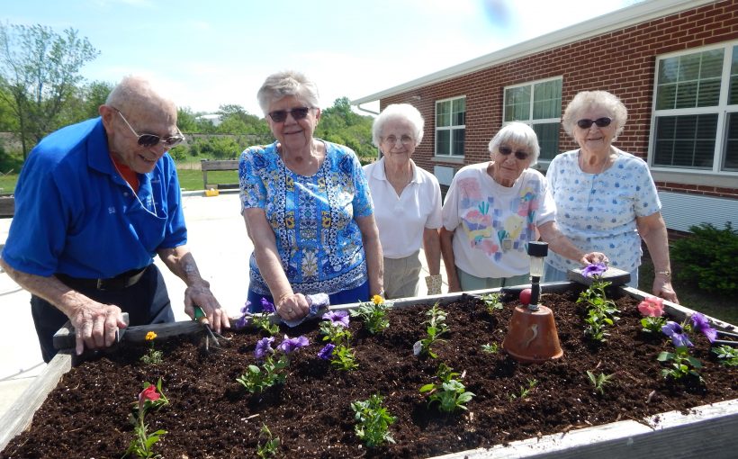 AL planting flowers 7