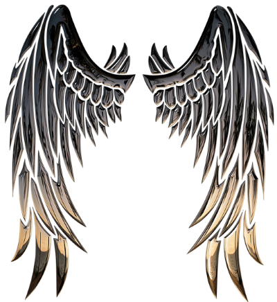 Wings