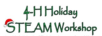 HoldiaySTEAMLogo