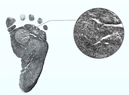 CertascanFootprint